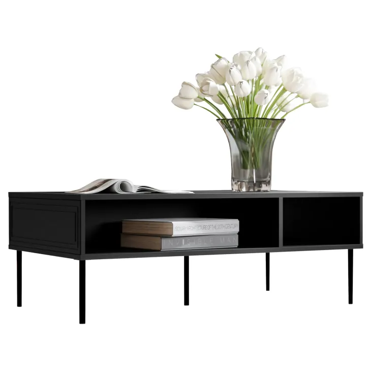 Tavolino da salotto 110x60cm 2 vani nero opaco Stark